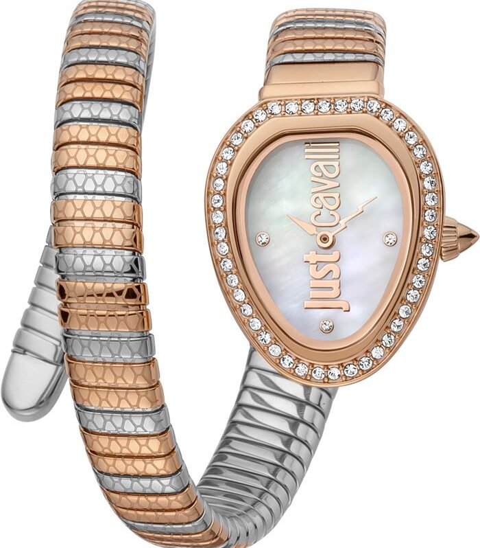 JUST CAVALLI JC1L167M0065 Kadın Kol Saati